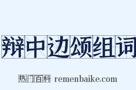 辩中边颂组词是什么意思的图片